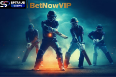 Cricket Betting Guide Australia — SP77A - SP77AUD Australia
